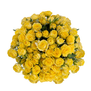 Yellow Spray Roses Yellow roses - fresh-cut roses by Bloomingmore - ideal for weddings and floral events