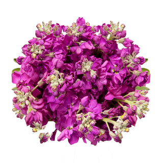 Reddish Stock Red flowers - fresh-cut flowers by Bloomingmore - ideal for weddings and floral events