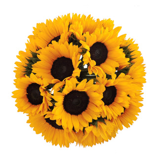 Sunflower Yellow flowers - fresh-cut flowers by Bloomingmore - ideal for weddings and floral events