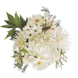 Touch of White White flowers - fresh-cut flowers by Bloomingmore - ideal for weddings and floral events
