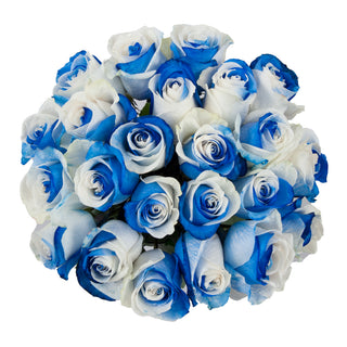 Blue & White Tinted Roses White roses - fresh-cut roses by Bloomingmore - ideal for weddings and floral events