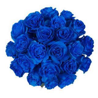 Blue Tinted Roses Blue roses - fresh-cut roses by Bloomingmore - ideal for weddings and floral events