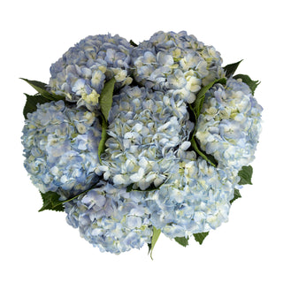 Blue Natural Hydrangeas Blue flowers - fresh-cut flowers by Bloomingmore - ideal for weddings and floral events