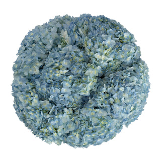 Blue Natural Jumbo Hydrangeas Blue flowers - fresh-cut flowers by Bloomingmore - ideal for weddings and floral events