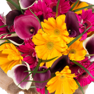 Violet Divinity with Burlap Violet flowers - fresh-cut flowers by Bloomingmore - perfect for gifting or decoration