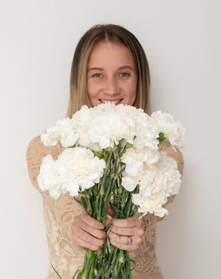 Carnations