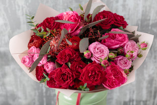 White natural jumbo hydrangea flowers