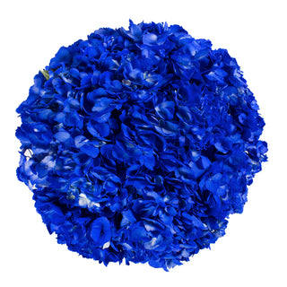 Dark Blue Painted Hydrangeas Blue flowers - fresh-cut flowers by Bloomingmore - ideal for weddings and floral events