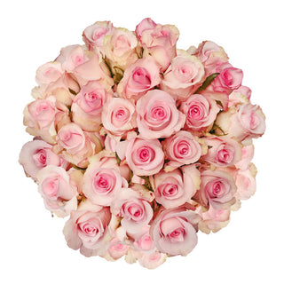 Blooming Boxes, Pink Roses Pink roses - fresh-cut roses by Bloomingmore - ideal for weddings and floral events