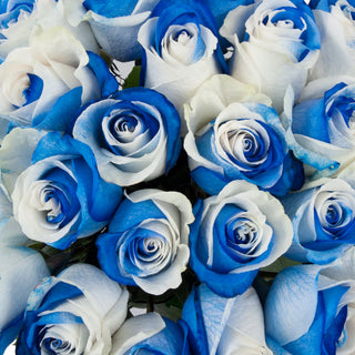 White and blue painted roses, memorial day