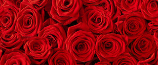 Red Roses Collection