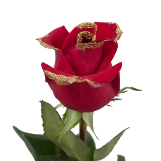 Red & Gold Glitter Roses Red roses - fresh-cut roses by Bloomingmore - ideal for weddings and floral events