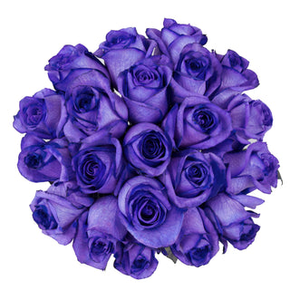Purple Tinted Roses Purple roses - fresh-cut roses by Bloomingmore - ideal for weddings and floral events