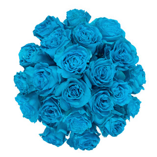Turquoise Tinted Roses Blue roses - fresh-cut roses by Bloomingmore - ideal for weddings and floral events