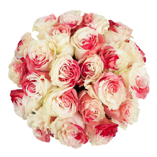 Red & White Tinted Roses Red roses - fresh-cut roses by Bloomingmore - ideal for weddings and floral events