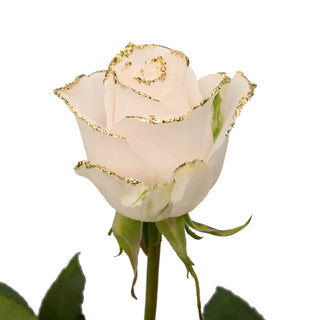 White & Gold Glitter Roses White roses - fresh-cut roses by Bloomingmore - ideal for weddings and floral events