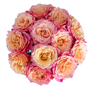 Free Spirit Garden Rose - 36 stems Orange roses - fresh-cut roses by Bloomingmore - ideal for weddings and floral events