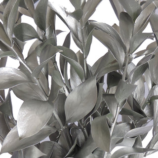 Silver Painted Ruscus Green flowers - fresh-cut flowers by Bloomingmore - ideal for weddings and floral events