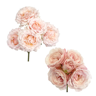Spray Garden Rose Collection - 24 Stems Spray roses - fresh-cut roses by Bloomingmore - perfect for gifting or decoration