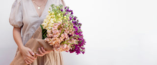 White natural hydrangea flower