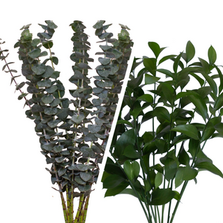 Assorted Eucalyptus Baby Blue & Ruscus Combo Green flowers - fresh-cut flowers by Bloomingmore - ideal for weddings and floral events