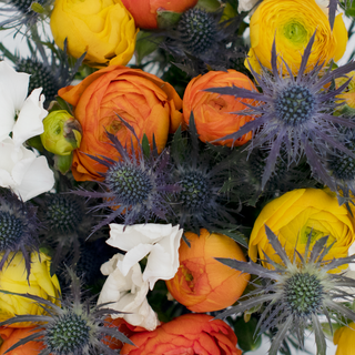Sunset Vibes Sunset flowers - fresh-cut flowers by Bloomingmore - ideal for weddings and floral events