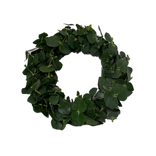 Eucalyptus Ring Green flowers - fresh-cut flowers by Bloomingmore - ideal for weddings and floral events